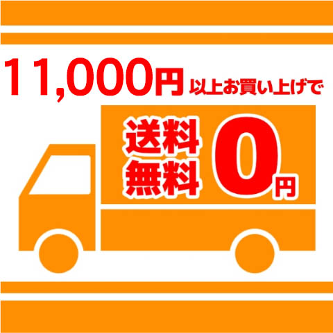 11000円以上購入で送料無料